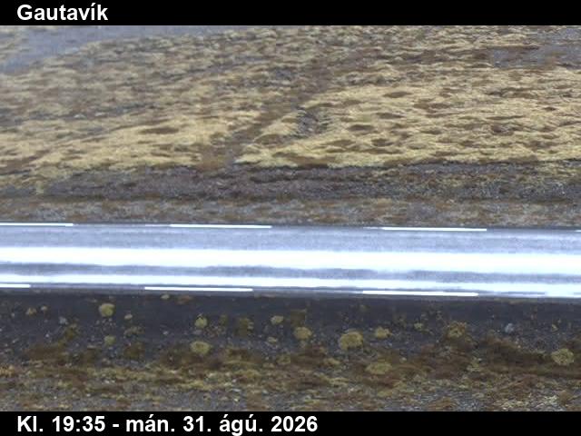gautavik_2-1788212263.jpg