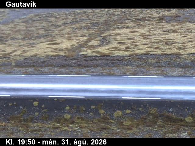 gautavik_2-1788213675.jpg