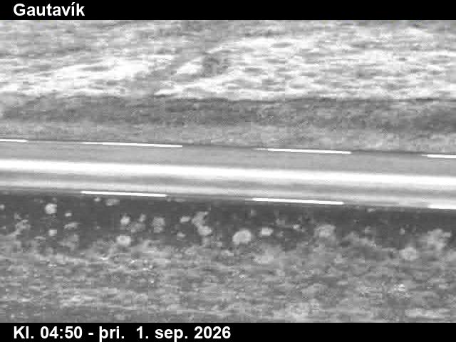 gautavik_2-1788246113.jpg