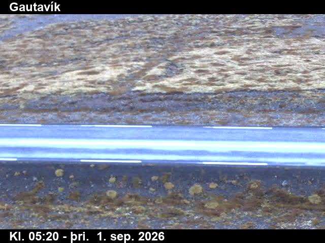 gautavik_2-1788247531.jpg