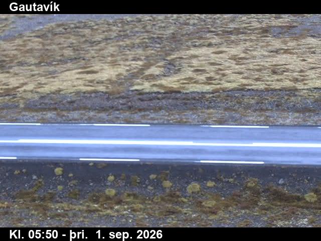 gautavik_2-1788249647.jpg