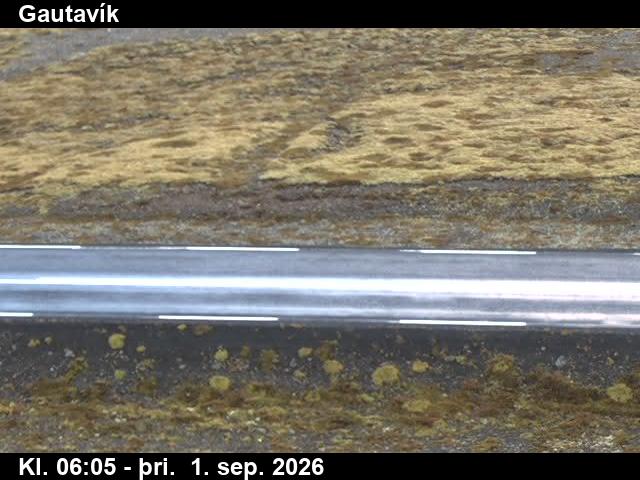 gautavik_2-1788249962.jpg