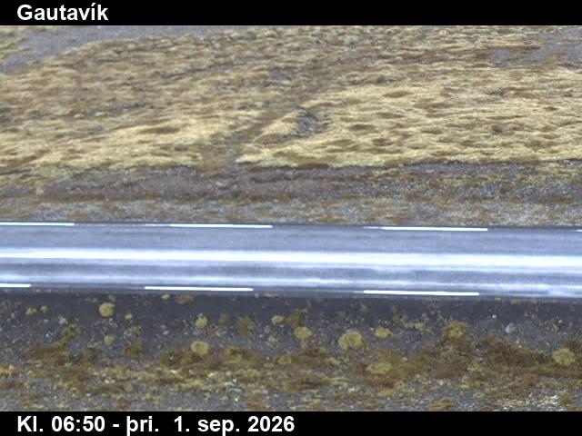 gautavik_2-1788253246.jpg
