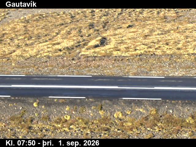 gautavik_2-1788256868.jpg
