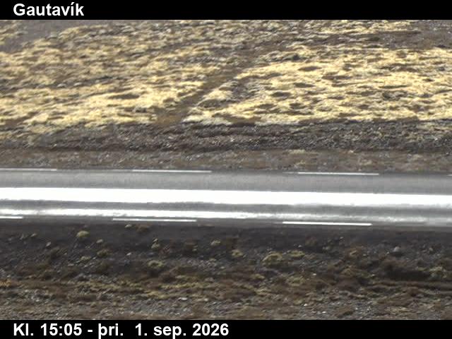gautavik_2-1788282346.jpg
