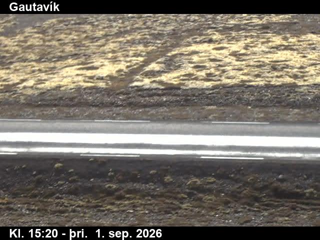gautavik_2-1788283563.jpg