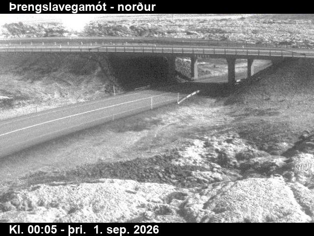 threngslavegamot_2-1788229525.jpg