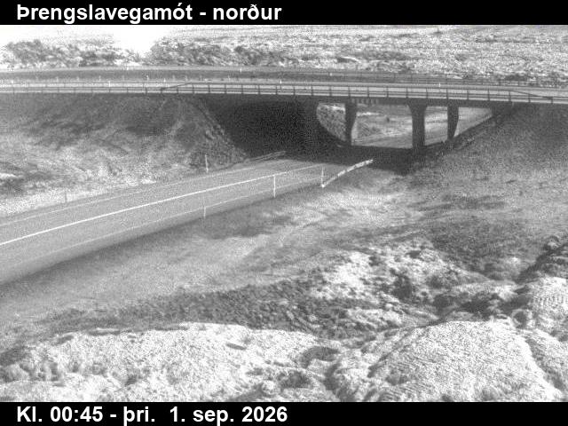 threngslavegamot_2-1788231649.jpg