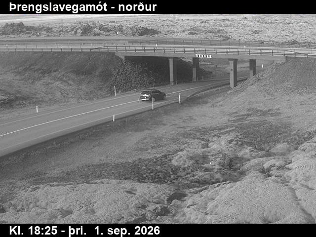 threngslavegamot_2-1788294325.jpg
