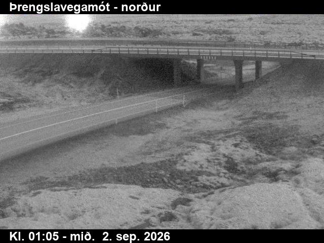 threngslavegamot_2-1788319525.jpg