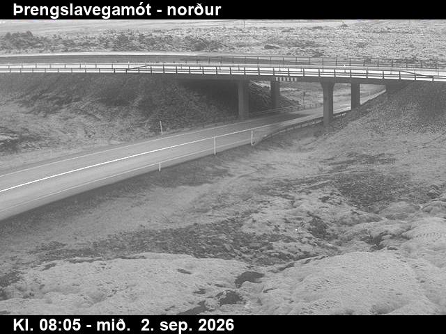 threngslavegamot_2-1788343563.jpg