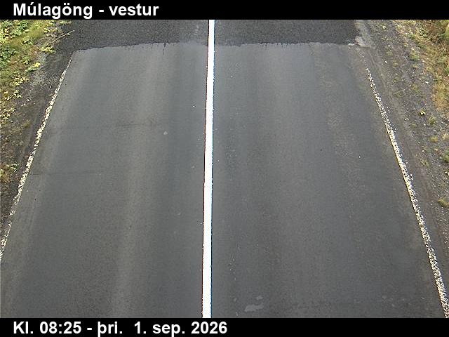 mulagong_4-1788258479.jpg