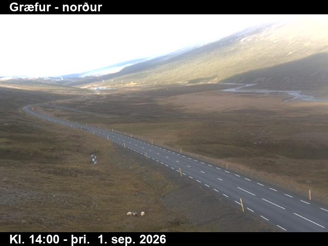 graefur_1-1788278753.jpg