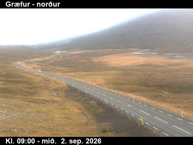 graefur_1-1788346890.jpg