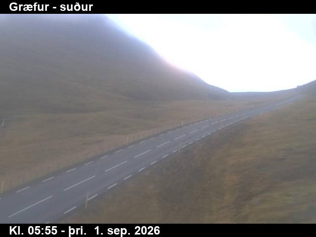 graefur_3-1788249961.jpg