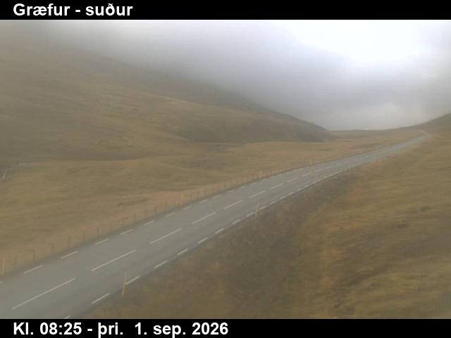 graefur_3-1788258478.jpg