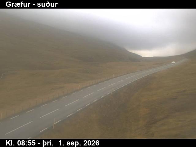 graefur_3-1788260460.jpg