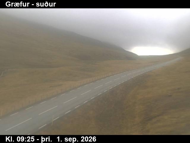 graefur_3-1788261955.jpg