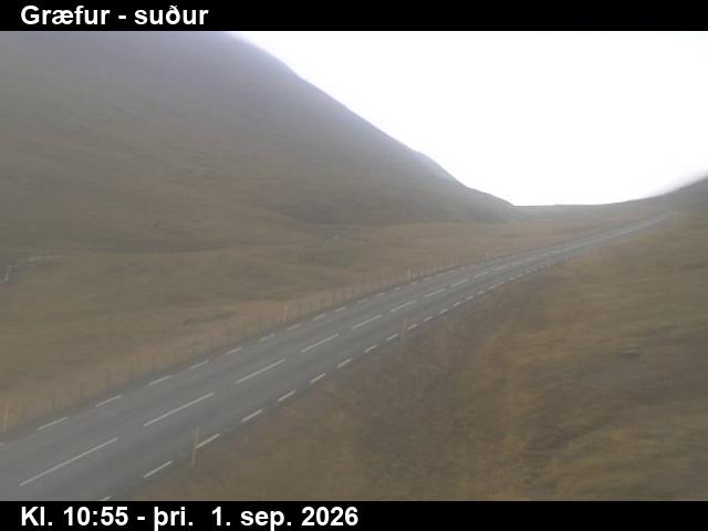 graefur_3-1788267651.jpg