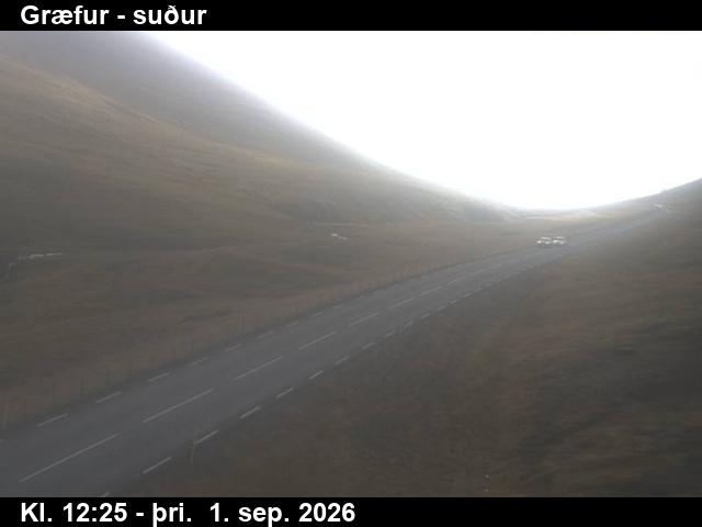 graefur_3-1788272744.jpg