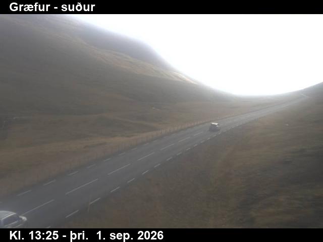 graefur_3-1788276338.jpg