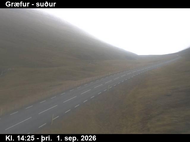 graefur_3-1788279968.jpg