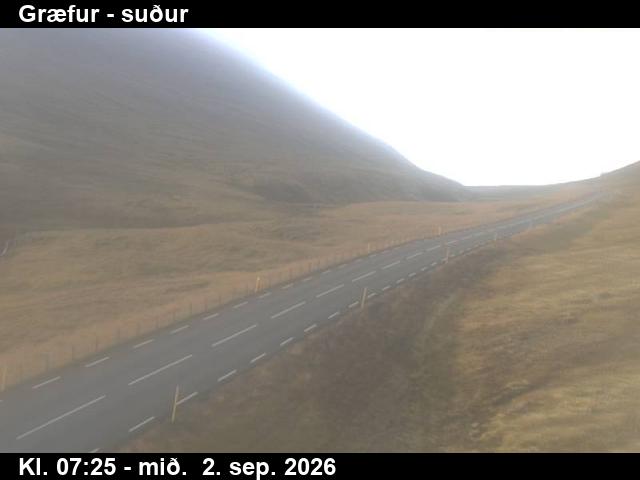 graefur_3-1788341128.jpg