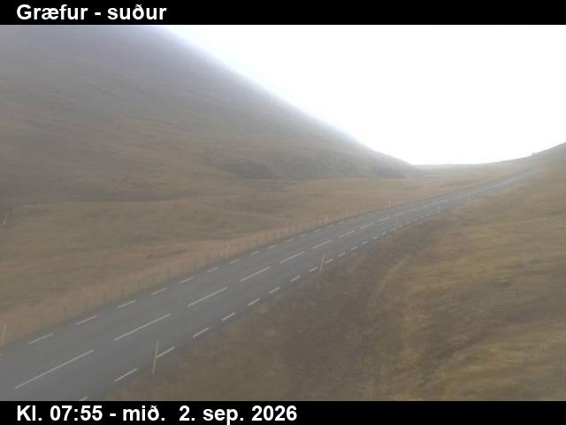 graefur_3-1788343247.jpg