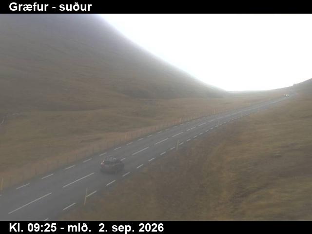 graefur_3-1788348351.jpg