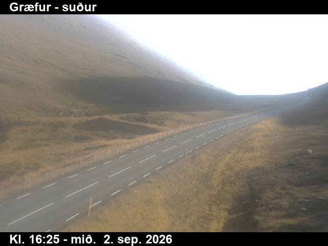 graefur_3-1788373529.jpg