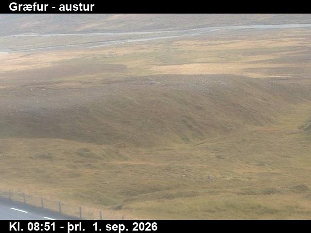 graefur_4-1788260460.jpg