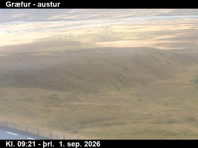 graefur_4-1788261924.jpg