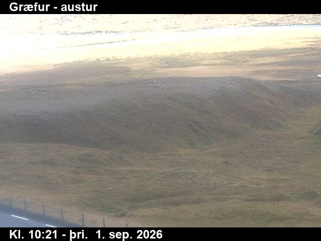graefur_4-1788265553.jpg