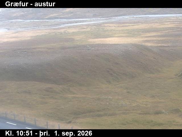 graefur_4-1788267768.jpg
