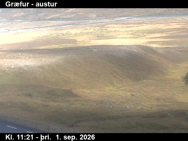 graefur_4-1788269120.jpg