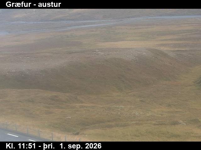 graefur_4-1788271224.jpg