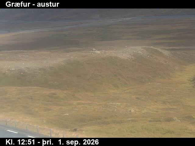graefur_4-1788274858.jpg