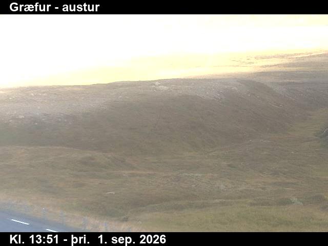 graefur_4-1788278456.jpg