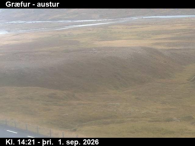 graefur_4-1788279968.jpg