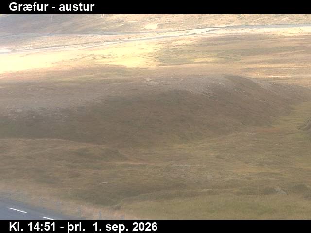 graefur_4-1788282345.jpg