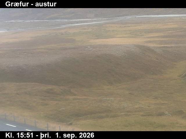 graefur_4-1788285651.jpg