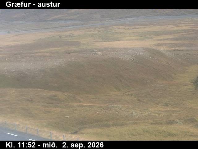 graefur_4-1788357643.jpg