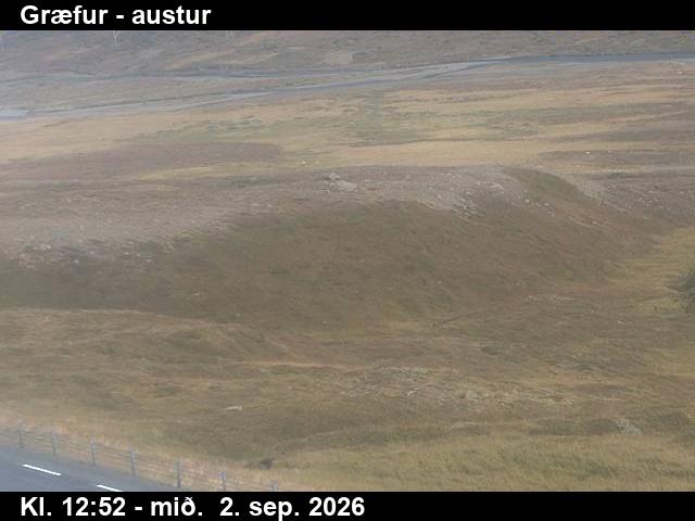 graefur_4-1788361299.jpg