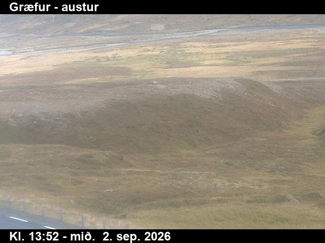 graefur_4-1788364865.jpg