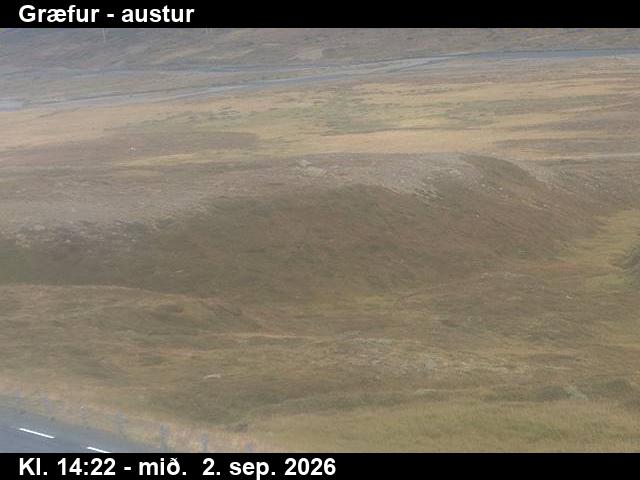 graefur_4-1788366335.jpg