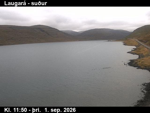 laugara_1-1788271232.jpg