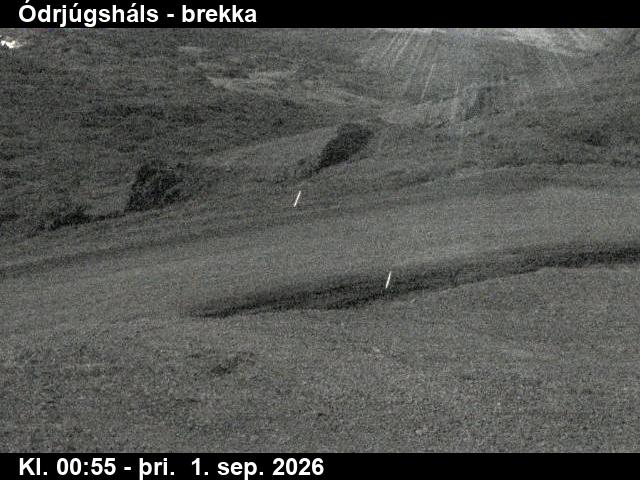 odrjugshals_3-1788231951.jpg