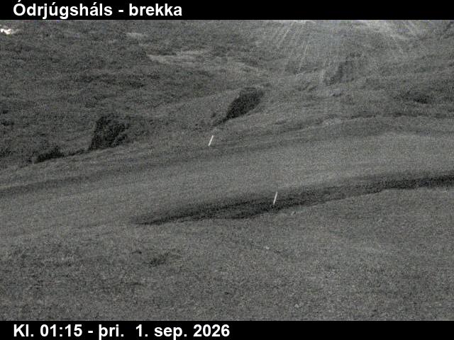 odrjugshals_3-1788233123.jpg