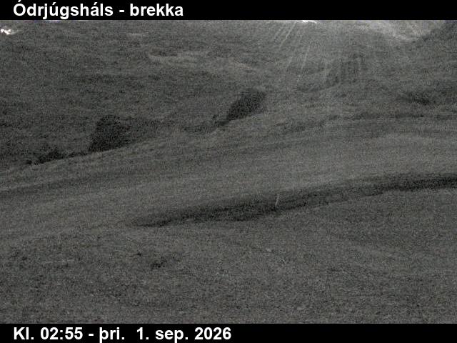 odrjugshals_3-1788238863.jpg