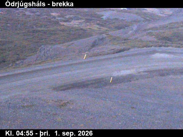 odrjugshals_3-1788246047.jpg